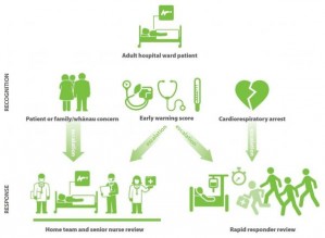 Clinical Components of Recognition and Response System