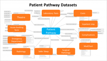 Patient Pathway Datasets
