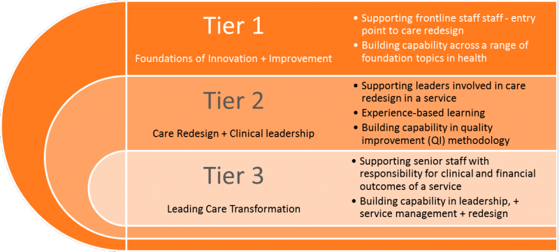 i3 Transforming Care 3 Tiers