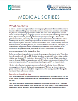 Medical Scribes